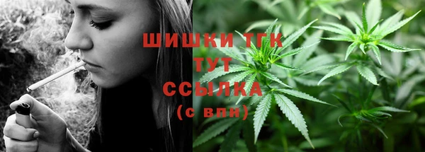 гидропоника Сатка