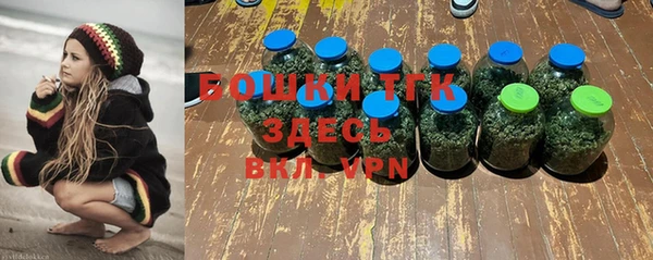 тгк Балахна