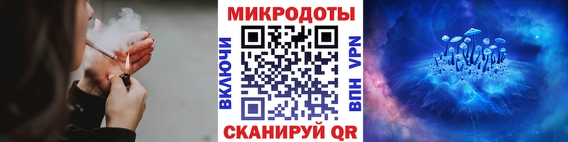 Галлюциногенные грибы мухоморы Павловск